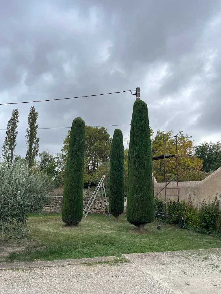 Réalisation Akebia Provence Paysage — Taille & entretien