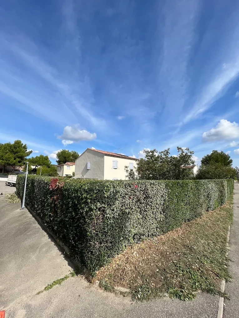 Réalisation Akebia Provence Paysage — Entretien de haie