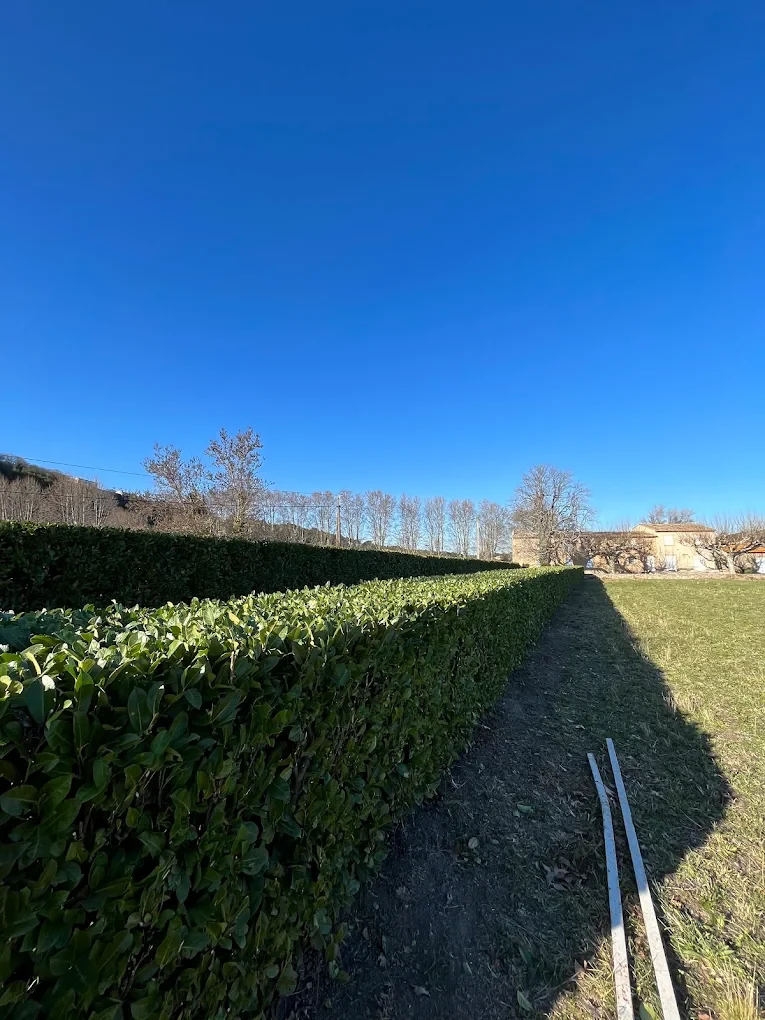 Réalisation Akebia Provence Paysage — Taille de haie